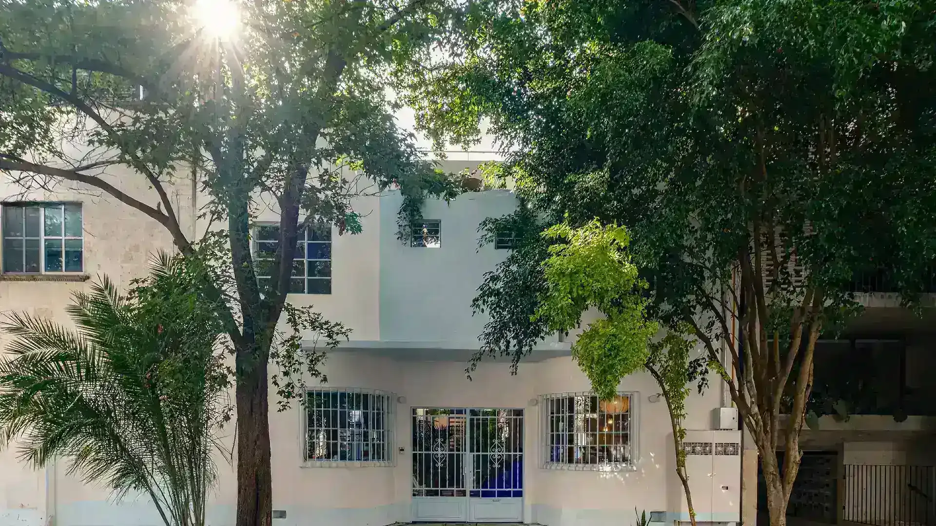 Cholula_Condesa_Boutique_Hotel_in_CDMX_Exclusive_Rooms_Mexico_M.webp
