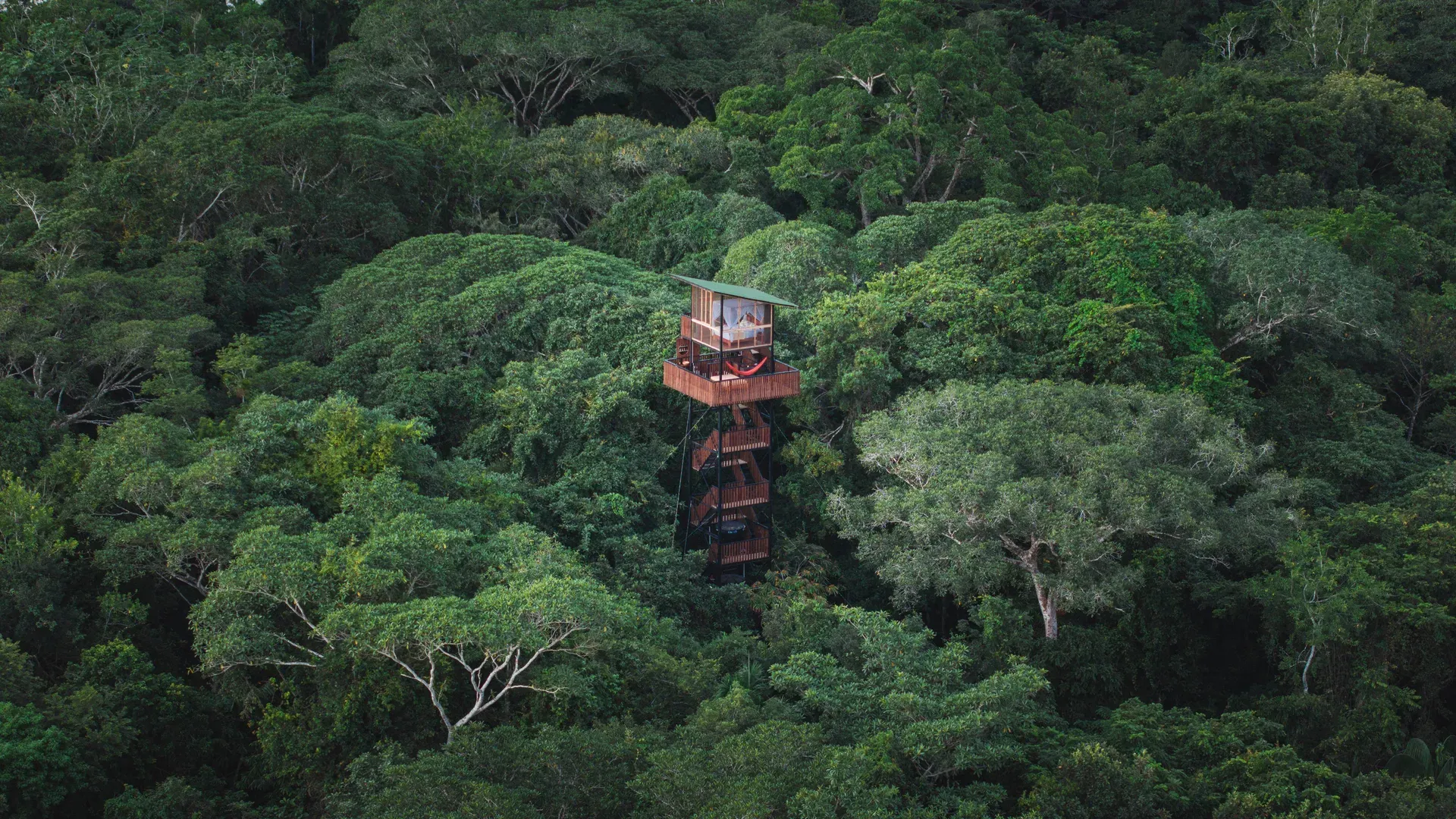 La_Manigua_Lodge_La_Macarena_Colombia_Eco_Luxury_Jungle_Stay_Architecture.webp