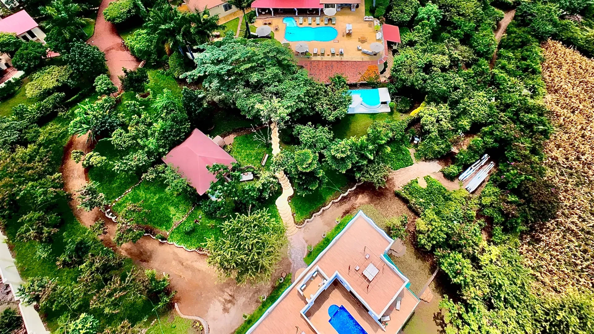 Pink_Flamingo_Boutique_Hotel_Karanga_Kilimanjaro_Tanzania_Luxury_Retreat_Architecture.webp